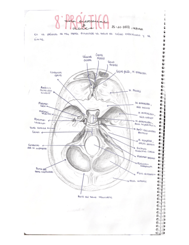Miniatura del documento Practica-9.pdf