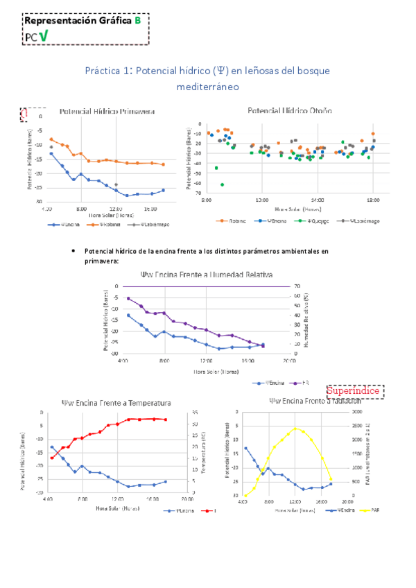 Miniatura del documento Practica1CORREGIDA.pdf