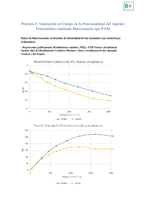 Miniatura del documento Practica2CORREGIDA.pdf