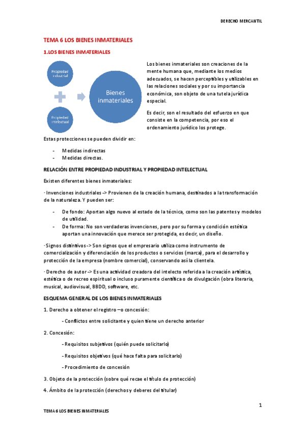 Miniatura del documento TEMA-6-BIENES-INMATERIALES.pdf