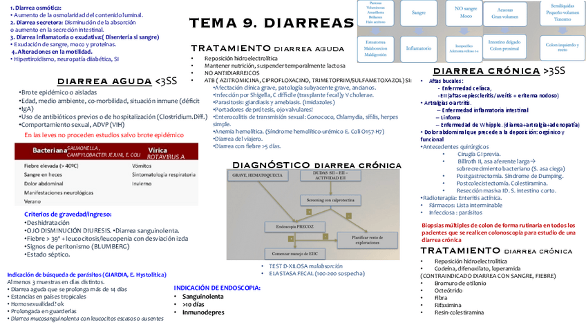 Miniatura del documento COSAS-IMP-T9-DIARREAS.pdf