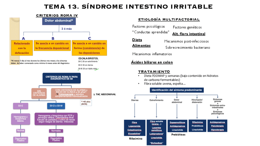 Miniatura del documento COSAS-IMP-T13-SINDROME-INTESTINO-IRRITABLE.pdf