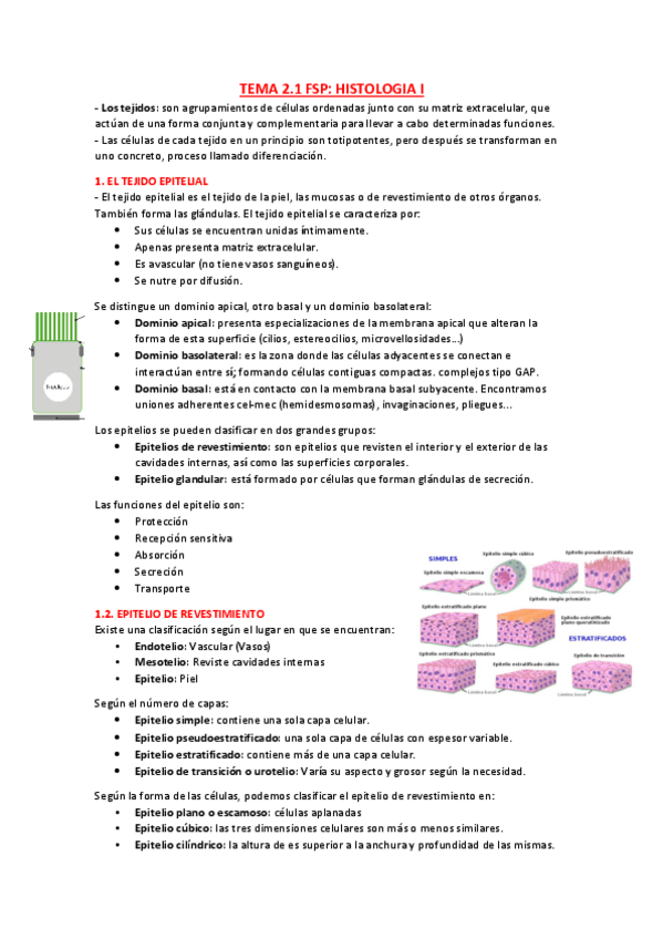 Miniatura del documento tema-2.1-parte-1.pdf