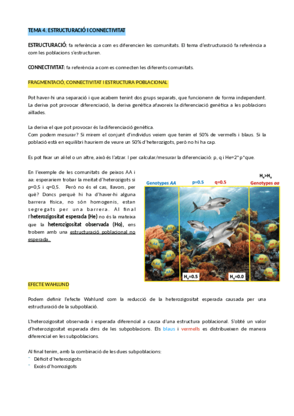 Miniatura del documento TEMA-4.-ESTRUCTURACIO-I-CONNECTIVITAT.pdf