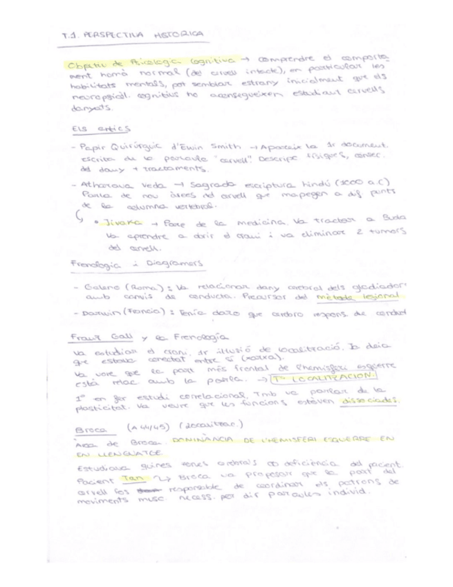 Miniatura del documento ESQUEMES-JANSARI-NEURO.pdf