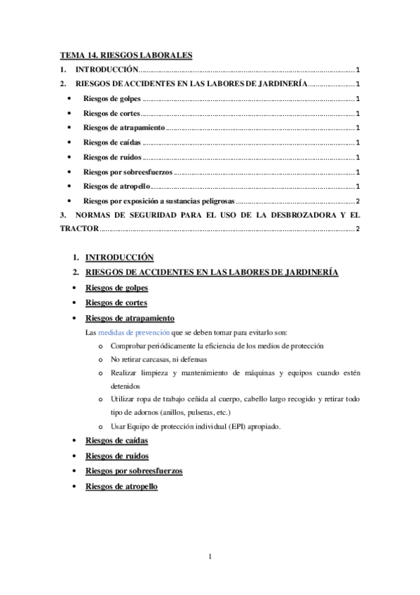 Miniatura del documento TEMA-14.-Riesgos-laborales.pdf