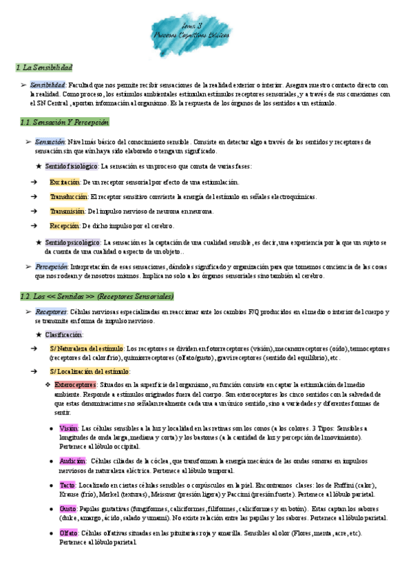 Miniatura del documento Psicologia-Tema-3-Procesos-Cognitivos-Basicos.pdf