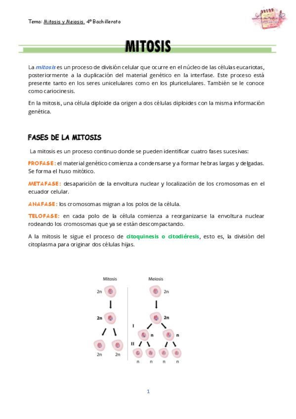 Miniatura del documento Mitosis-Y-MEIOSIS.pdf