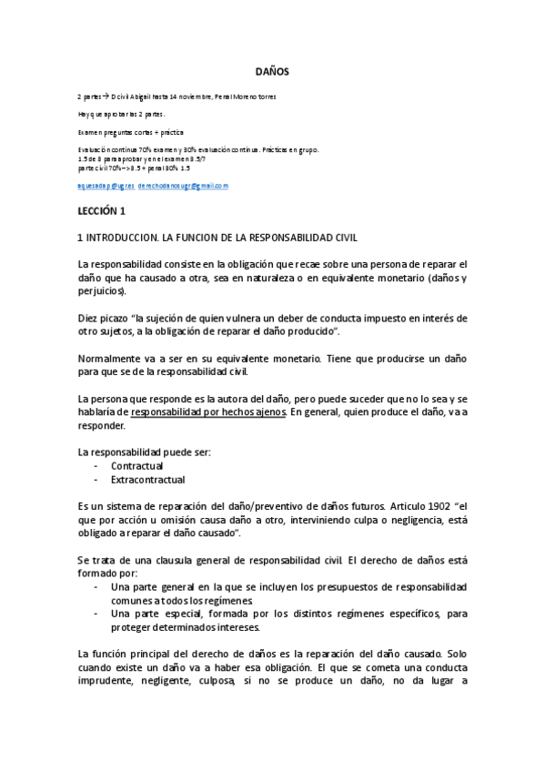 Miniatura del documento DERECHO DE DAÑOS.pdf
