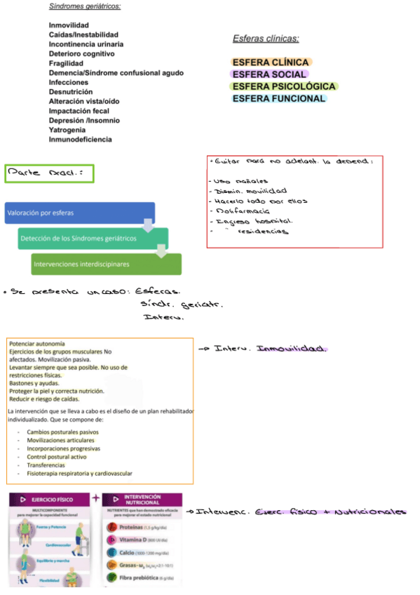 Miniatura del documento Intervenciones-Anciano-Parte-Practica.pdf