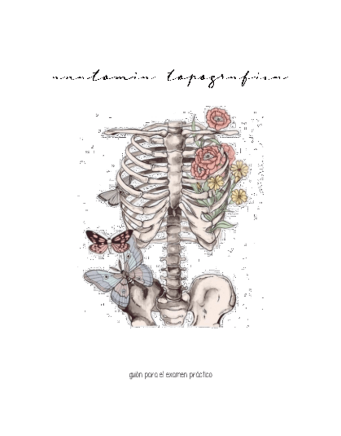 Miniatura del documento Practico-topo-lista.pdf