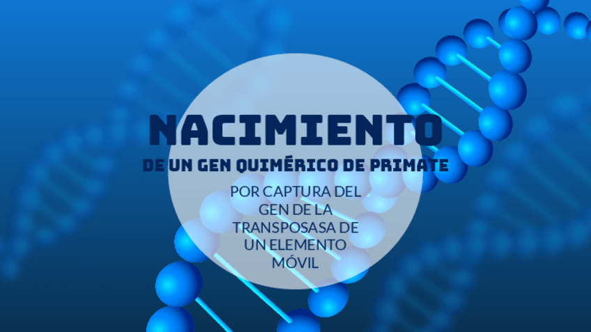 Miniatura del documento Gen-QUIMÉRICO-TRABAJO-BIOLOGÍA.pdf