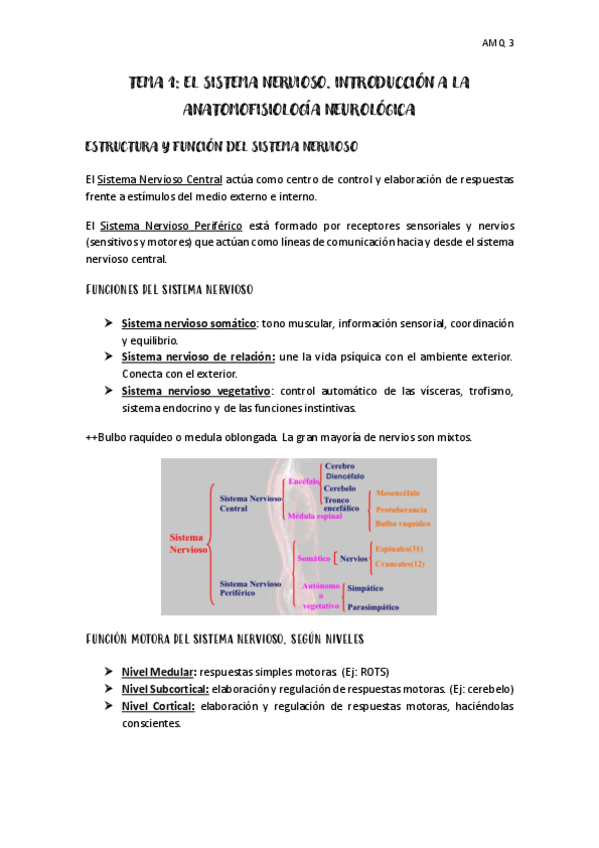 Miniatura del documento tema-1-AMQ-3.pdf