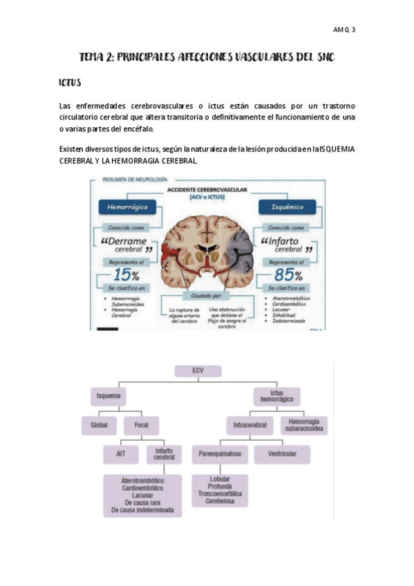 Miniatura del documento tema-2-AMQ-3.pdf