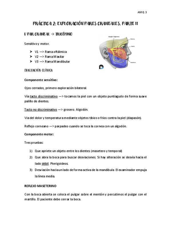 Miniatura del documento PRACTICA-2-AMQ-3.pdf