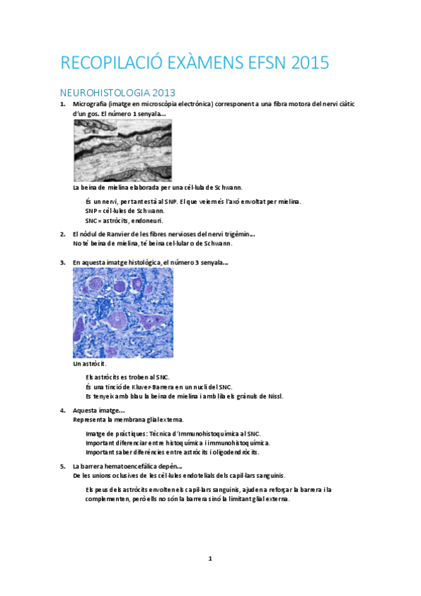 Miniatura del documento 1r-parcial-recop.pdf