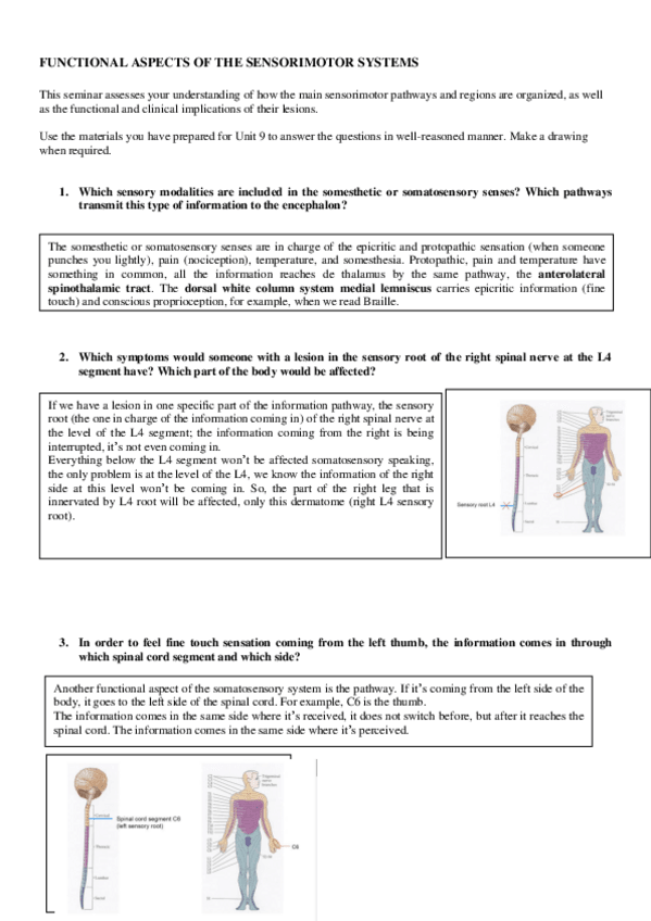 Miniatura del documento Sensorimotor-systemsENG.pdf