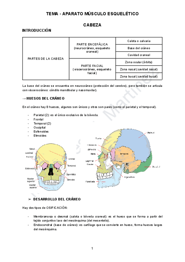 Miniatura del documento TEMA-5.pdf