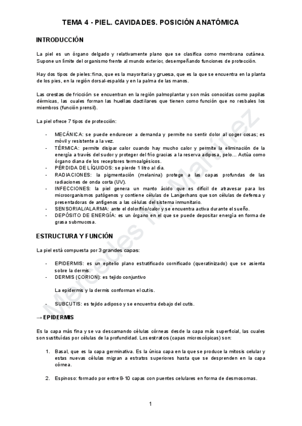 Miniatura del documento TEMA-4-PIEL-CAVIDADES-POSICIONES.pdf