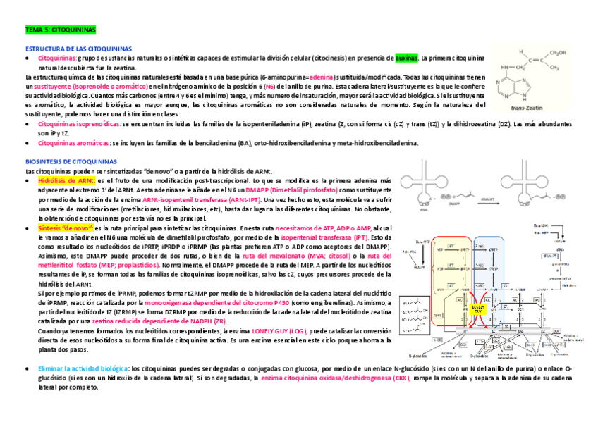 Miniatura del documento Resumen-para-examenCitoquininas-tema-5.pdf
