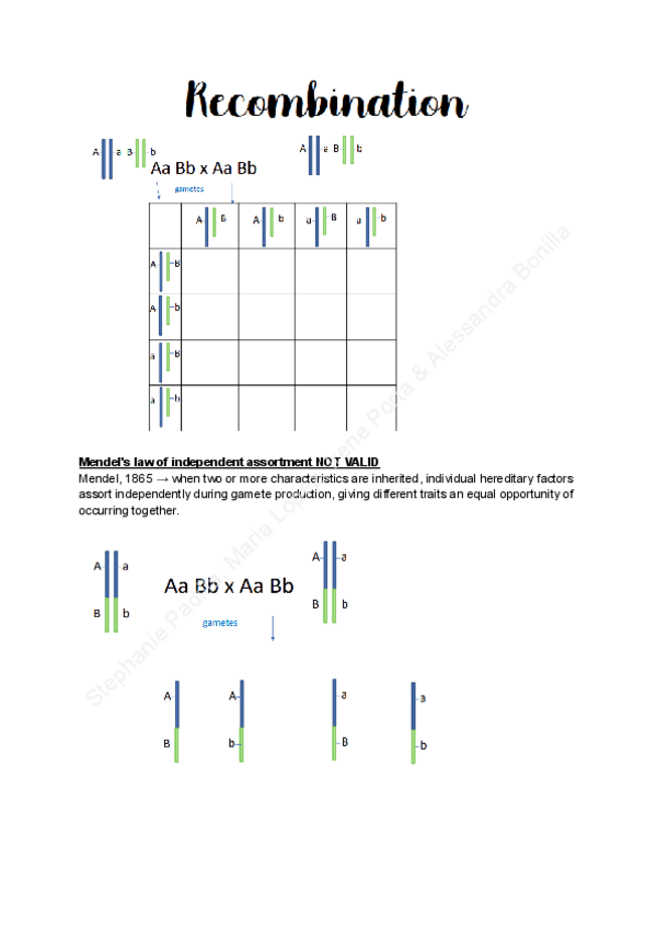 Miniatura del documento W4.1-Recombination.pdf