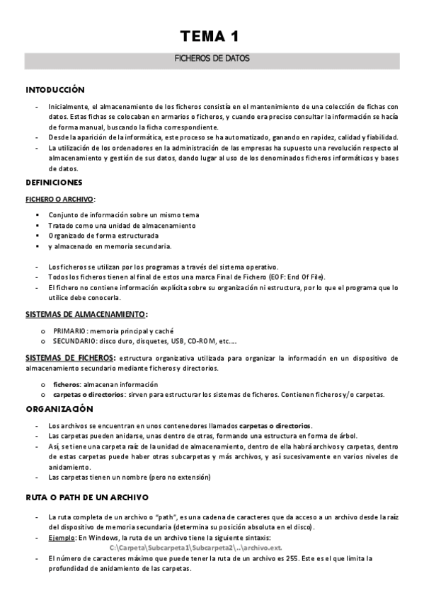 Miniatura del documento INFORMATICA.-TEMA-1.pdf