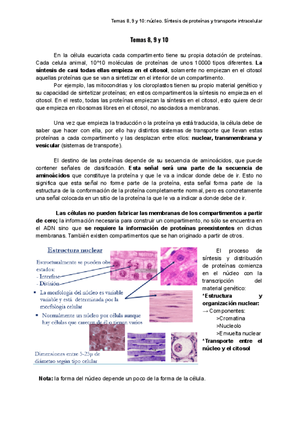 Miniatura del documento Temas-89-y-10parte-1.pdf