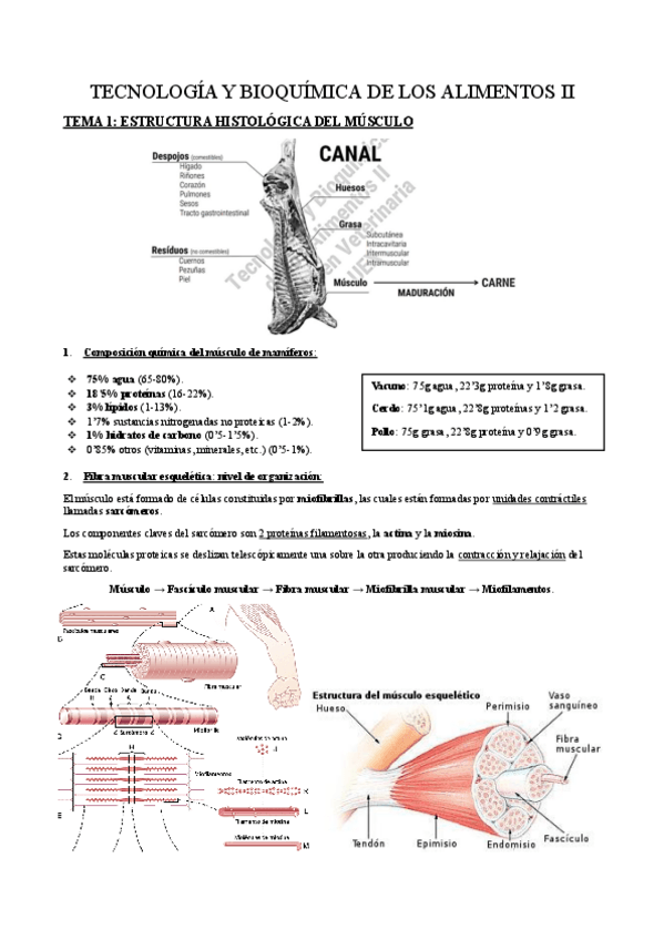 Miniatura del documento Tecno-II-2023.pdf