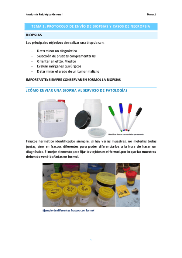 Miniatura del documento Tema-1.-Protocolo-de-envio-de-biopsias.pdf