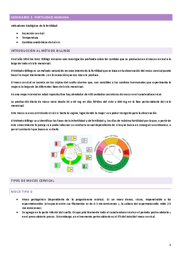 Miniatura del documento SEMINARIOS.pdf