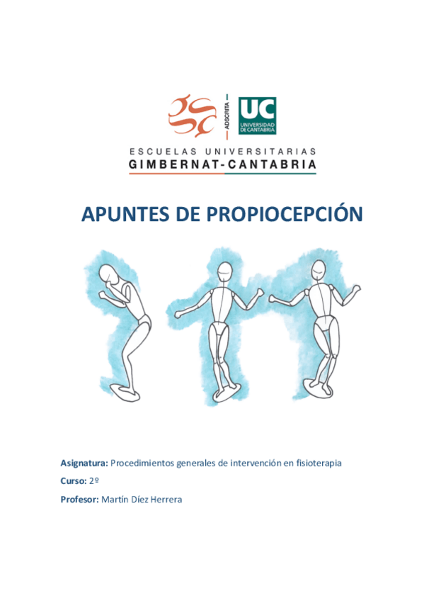 Miniatura del documento PROPIOCEPCION-teoria.pdf