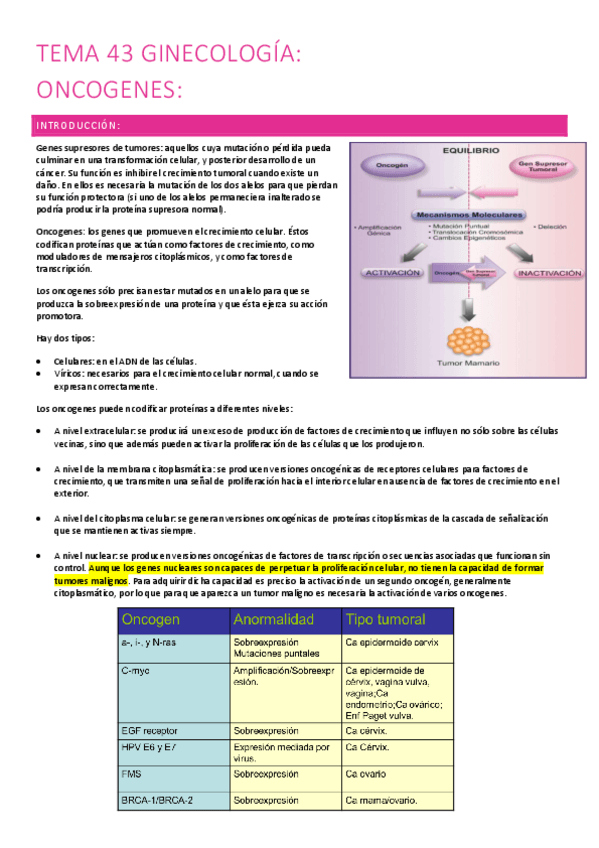 Miniatura del documento 43.-oncogenes.pdf