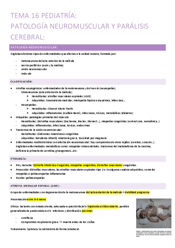 Miniatura del documento 16.-patologia-nm-y-paralisis-cerebral.pdf