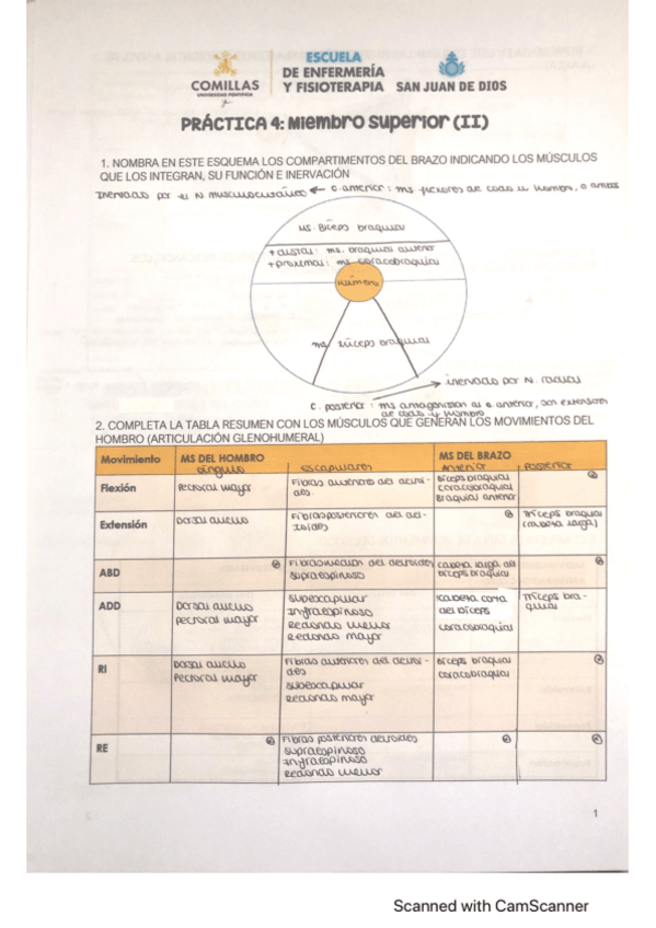 Miniatura del documento practica-4-anato.pdf