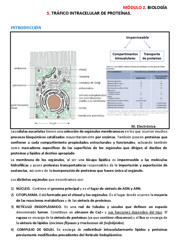 Miniatura del documento Apuntes1-modulo-2-biologia.pdf