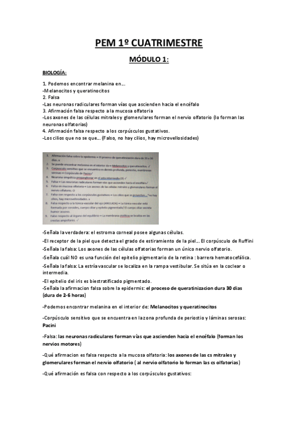 Miniatura del documento PEM-1o-Cuatrimestre.pdf