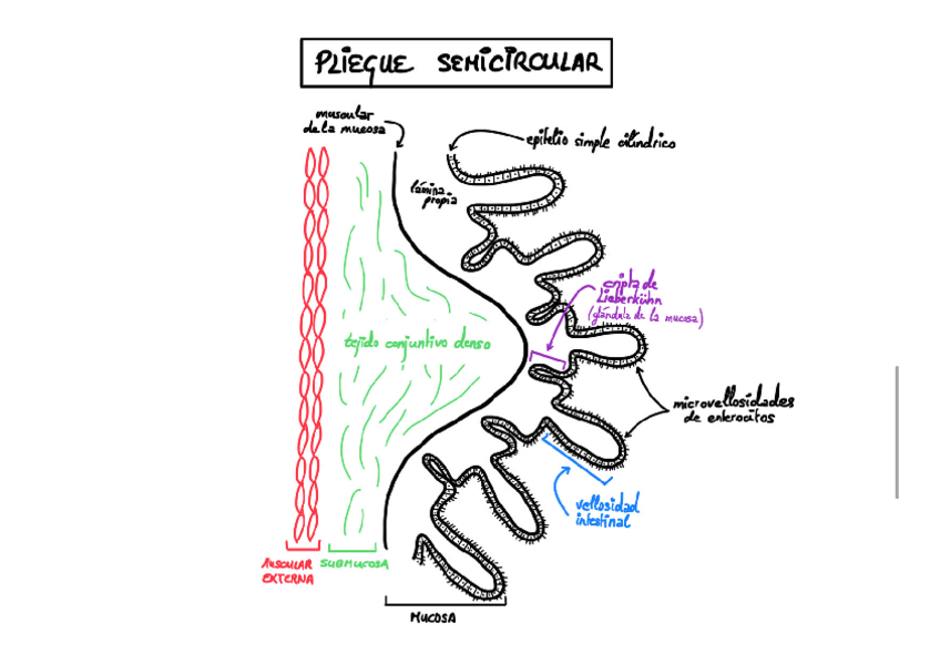Miniatura del documento B-MEFICH-Modulo-7.-Dibujos.pdf