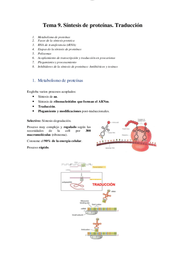 Miniatura del documento T9 - Síntesis de proteinas. Traducción.pdf