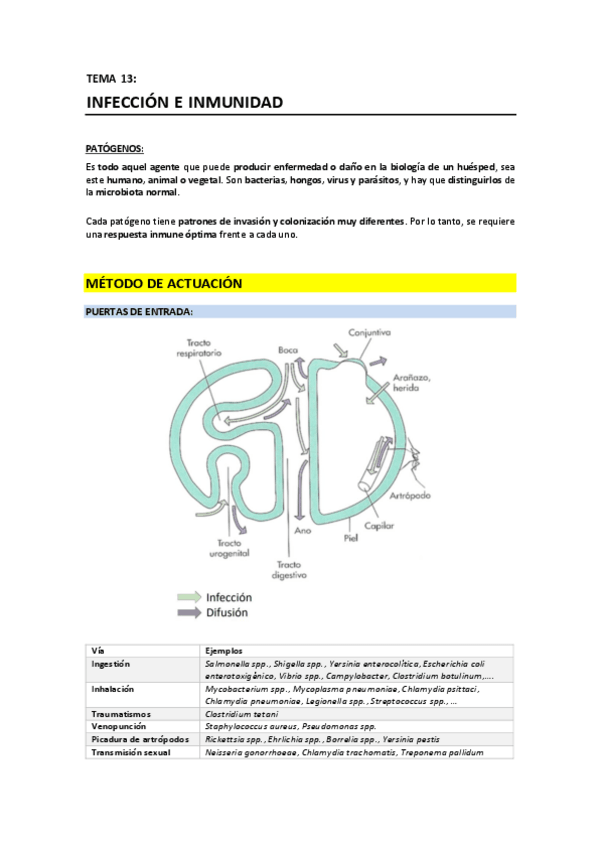 Miniatura del documento T13 - Infección e inmunidad.pdf
