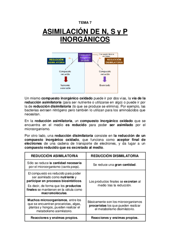 Miniatura del documento TEMA 7 - Asimilación de N, S y P inorgánicos.pdf