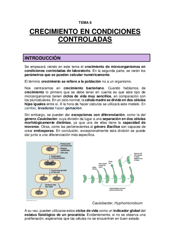 Miniatura del documento TEMA 8 - Crecimiento en condiciones controladas.pdf