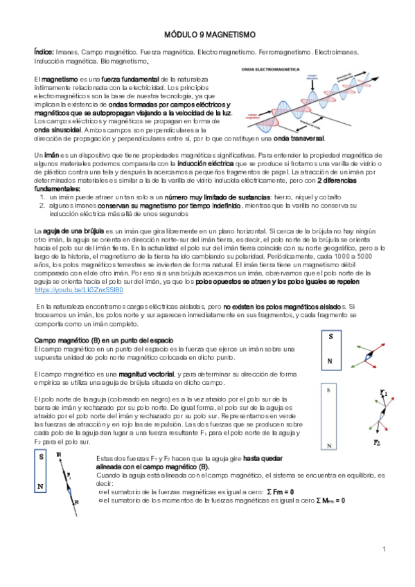 Miniatura del documento APUNTES-MODULO-9-MAGNETISMO.pdf