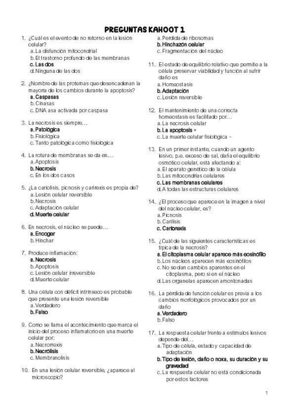 Miniatura del documento Perguntas-Kahoot.pdf