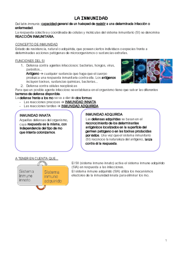 Miniatura del documento inmunidad-apuntes.pdf