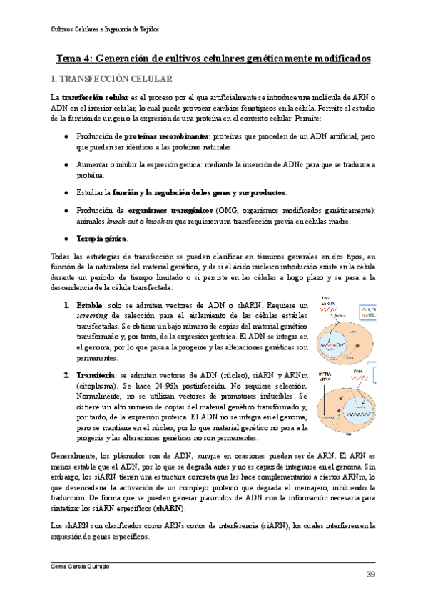 Miniatura del documento TEMA-4-GENERACION-DE-CULTIVOS-GENETICAMENTE-MODIFICADOS-CULTIVOS-CELULARES-E-INGENIERIA-DE-TEJIDOS.pdf