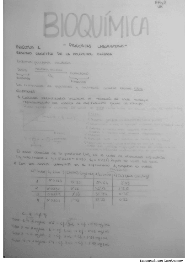Miniatura del documento bioq-practica-1-lab.pdf