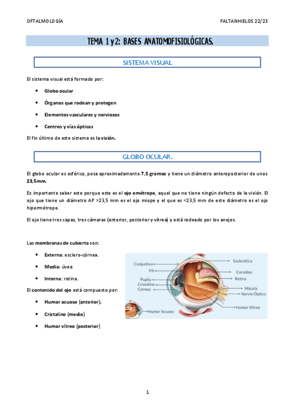 Miniatura del documento 12.-Bases-anatomofisiologicas.pdf