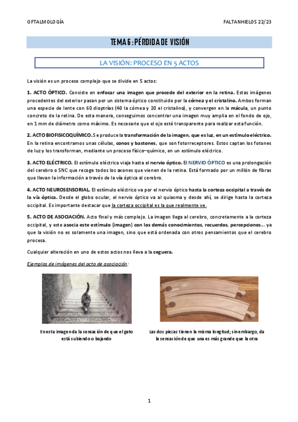 Miniatura del documento 6.-Perdida-de-vision.pdf