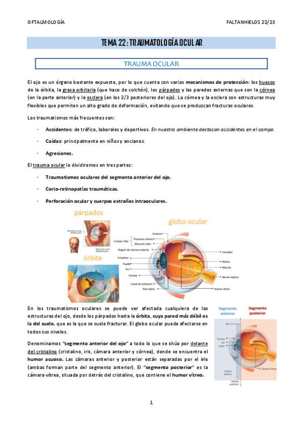 Miniatura del documento 22.-Traumatologia-ocular.pdf