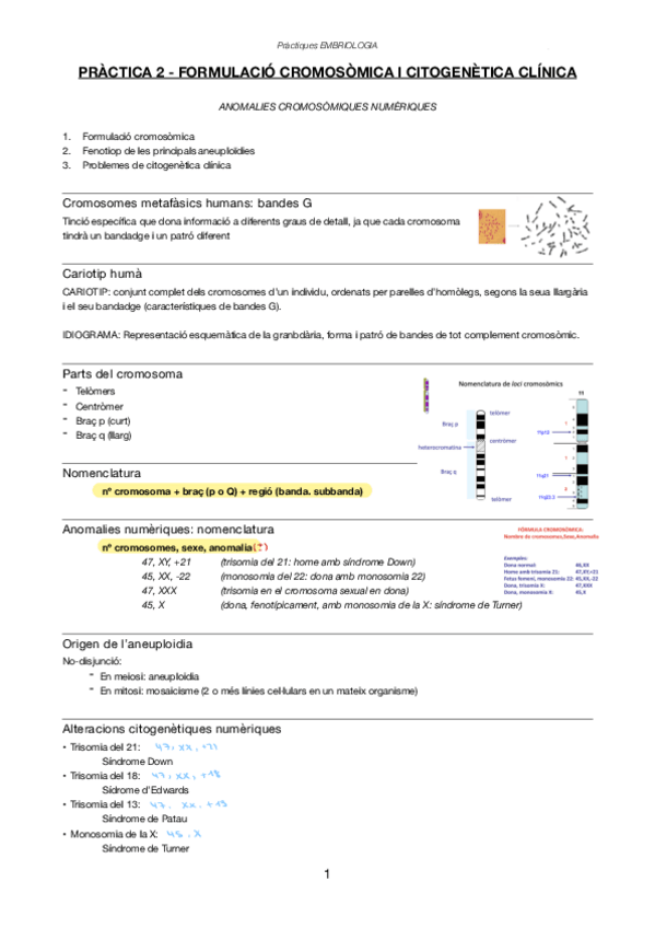 Miniatura del documento practica-2-i-3-EXAMEN.pdf